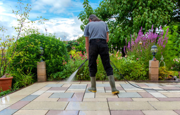  Fruitdale, CA Pressure Washing Pros